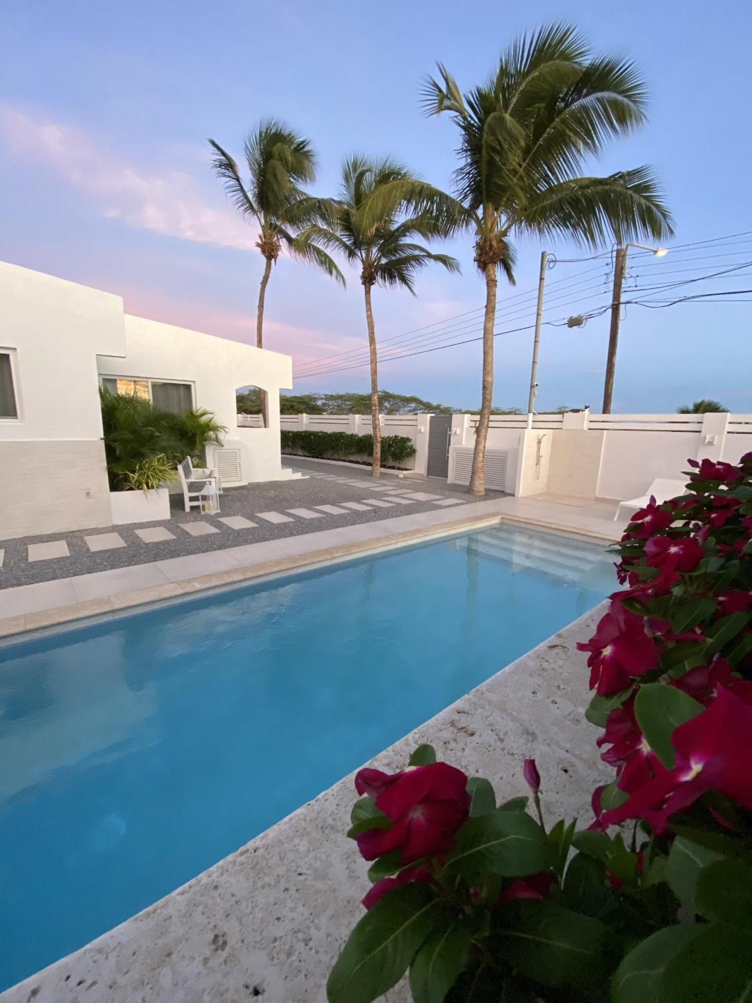 Movida Inn Aruba Palm Beach Phòng bức ảnh