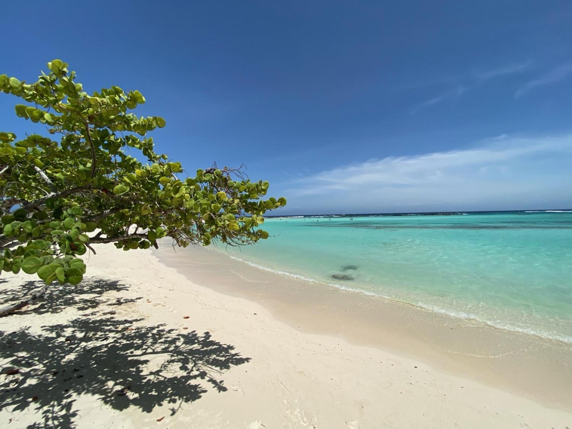 Movida Inn Aruba Palm Beach Phòng bức ảnh