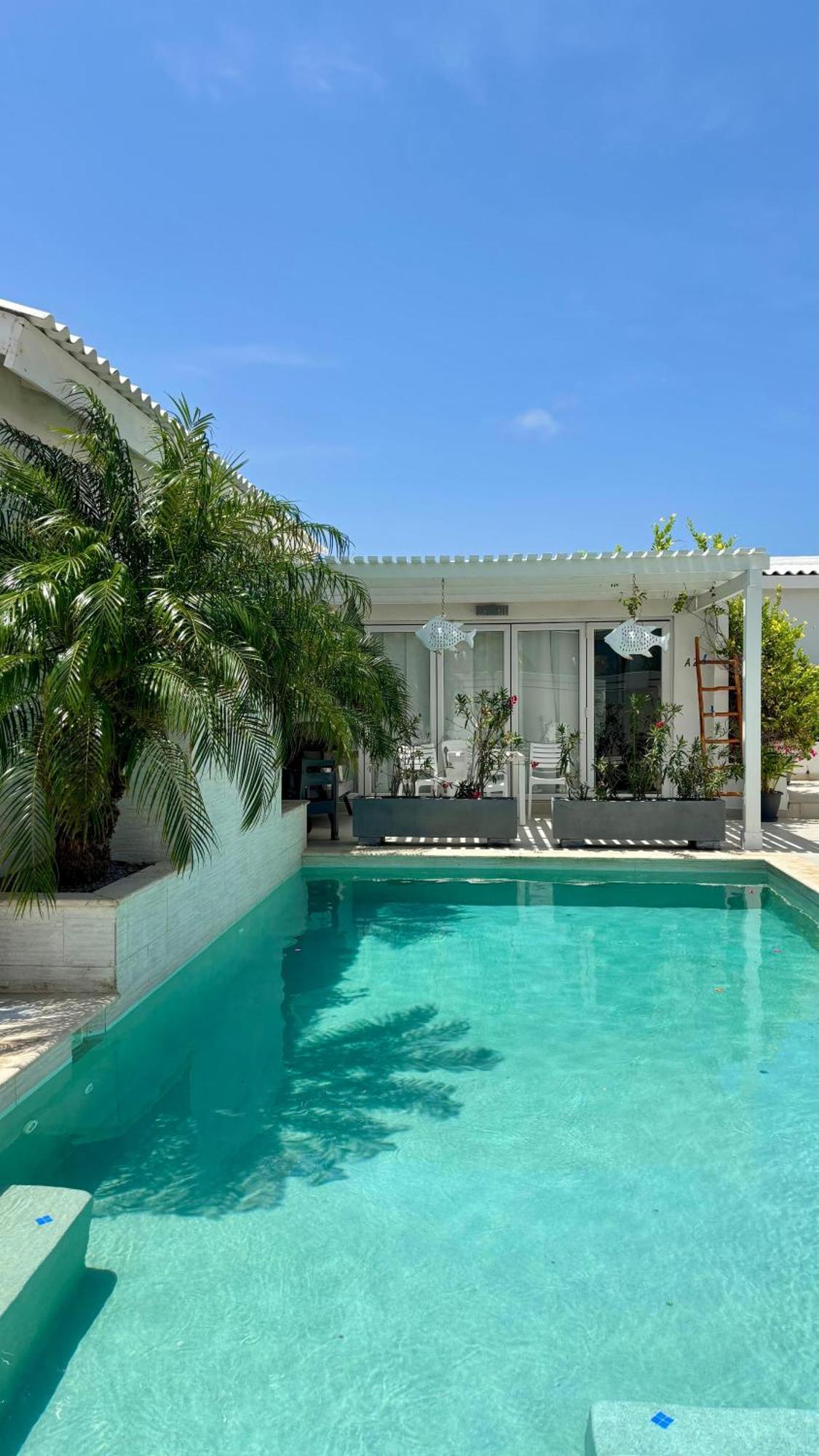 Movida Inn Aruba Palm Beach Ngoại thất bức ảnh